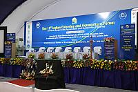 IMG 6917