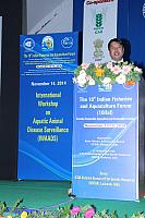 IMG 6921