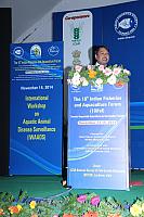 IMG 6939