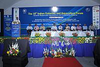 IMG 6940