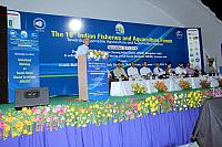 IMG 6951