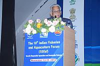 IMG 7090