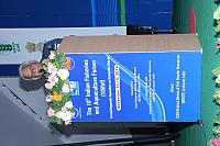 IMG 7091