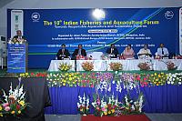 IMG 7093