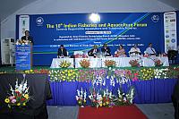 IMG 7112