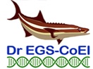 EGS-CEI logo